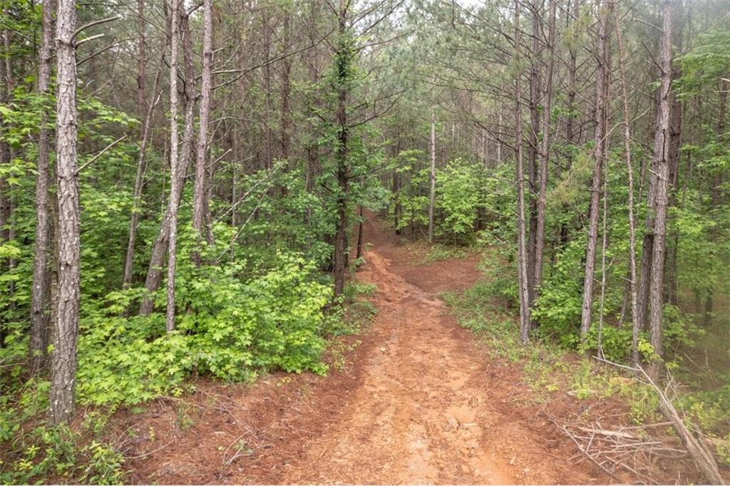 0 Hidden Creek Road Jasper, GA 30143 - Photo 6 of 10 a view of a forest with trees