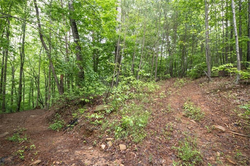 0 Hidden Creek Road Jasper, GA 30143 - Photo 7 of 10 a view of a forest that has large trees