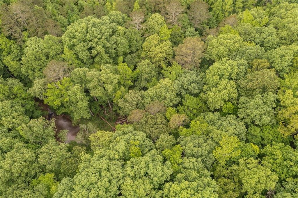 0 Hidden Creek Road Jasper, GA 30143 - Photo 10 of 10 a view of a big yard with plants and large trees