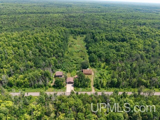 509 Dukes Road Skandia, MI 49885 - Photo 42 of 63