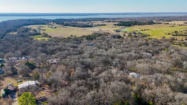 a view of a dry yard with lots of bushes