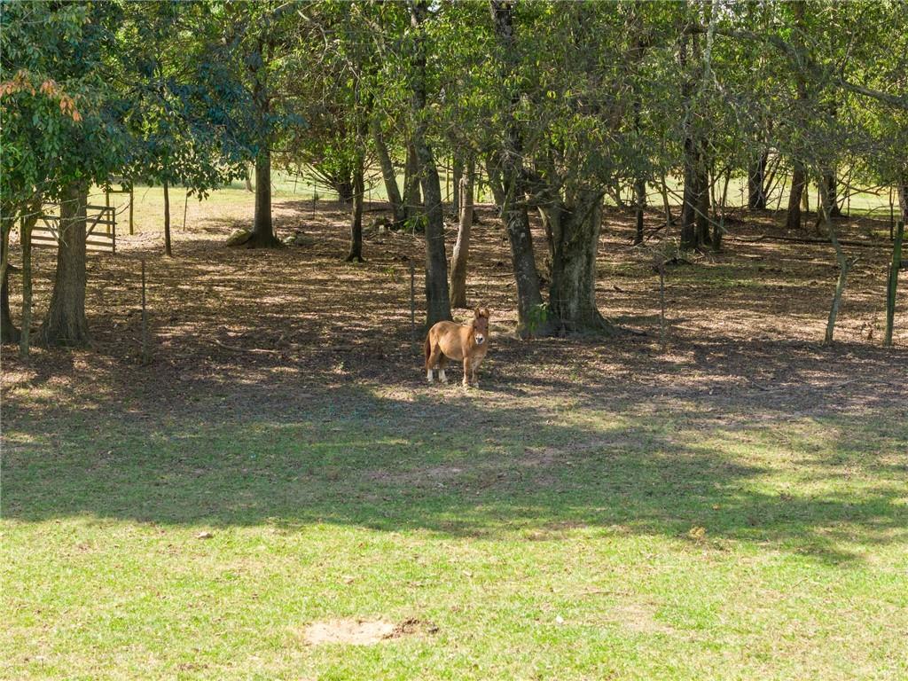 241 Bill Watkins Road Hoschton, GA 30548 - Photo 8 of 22 a swimming pool with trees in the background