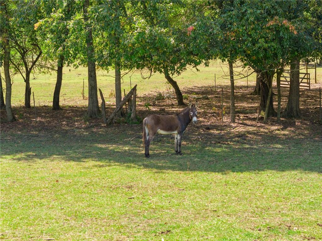 241 Bill Watkins Road Hoschton, GA 30548 - Photo 9 of 22 a backyard of a house with yard and tree