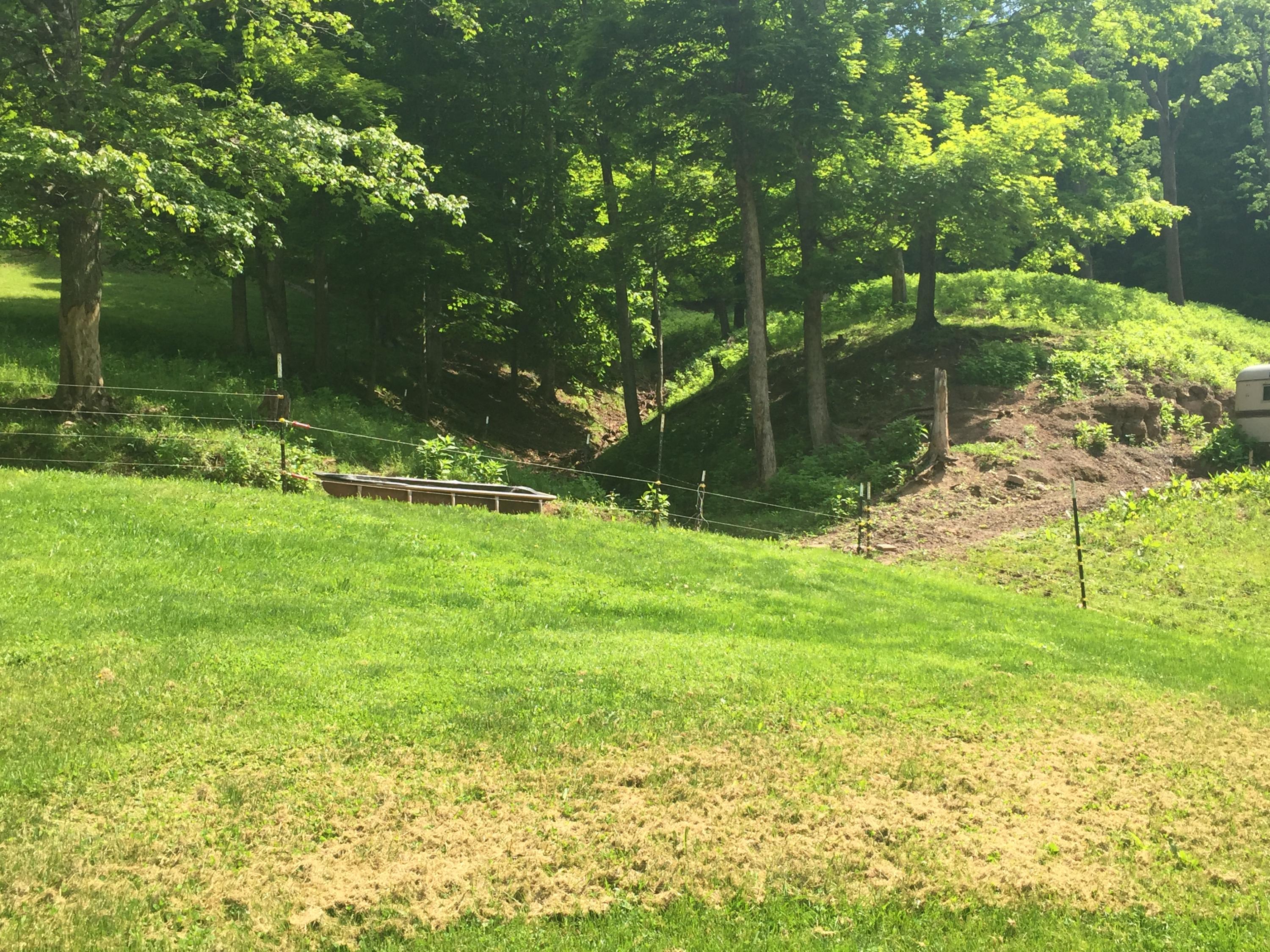 14868 North State Rte 20 Meadow Bridge, WV 25976 - Photo 26 of 26 Gallery Image 26
