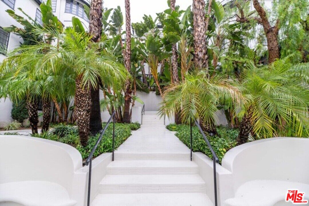 9237 Doheny Road West Hollywood, CA 90069 - Photo 3 of 14 a view of a garden with plants