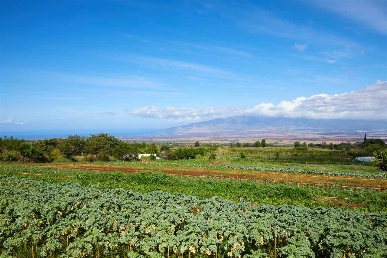 5 Piliwale Road Kula, HI 96790 - Photo 1 of 22 a view of a field with an ocean and trees in the background