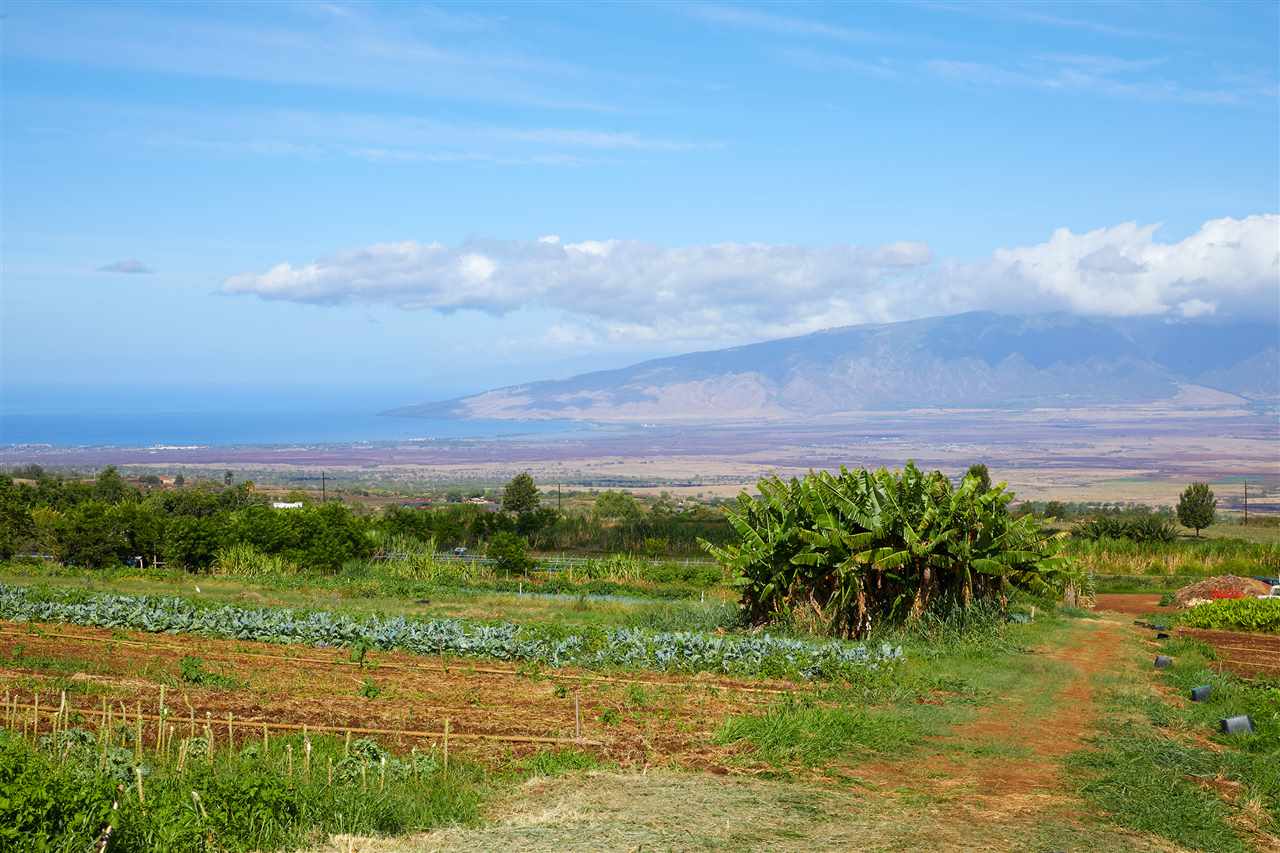 5 Piliwale Road Kula, HI 96790 - Photo 11 of 22 a view of a lake with a big yard