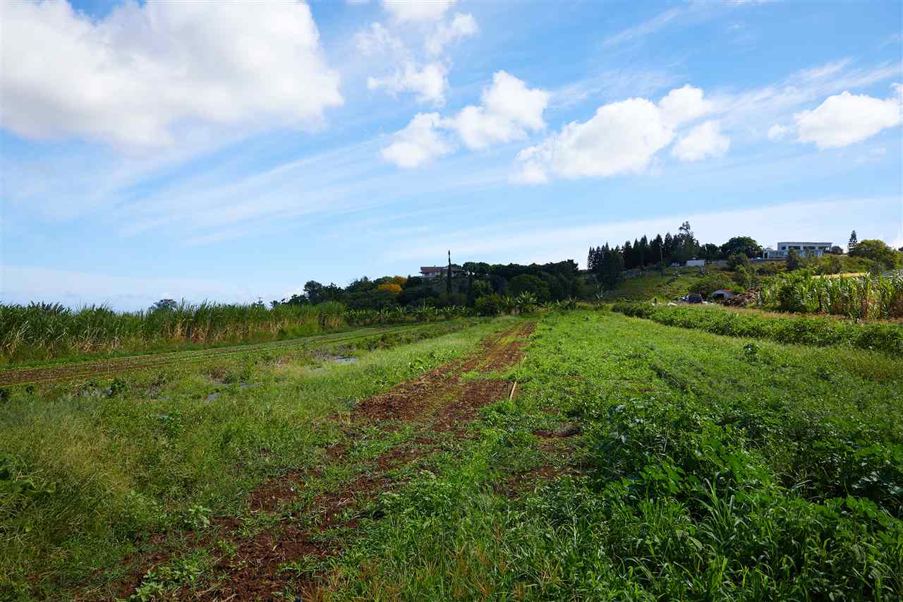 5 Piliwale Road Kula, HI 96790 - Photo 14 of 22 a view of a lake and green valley