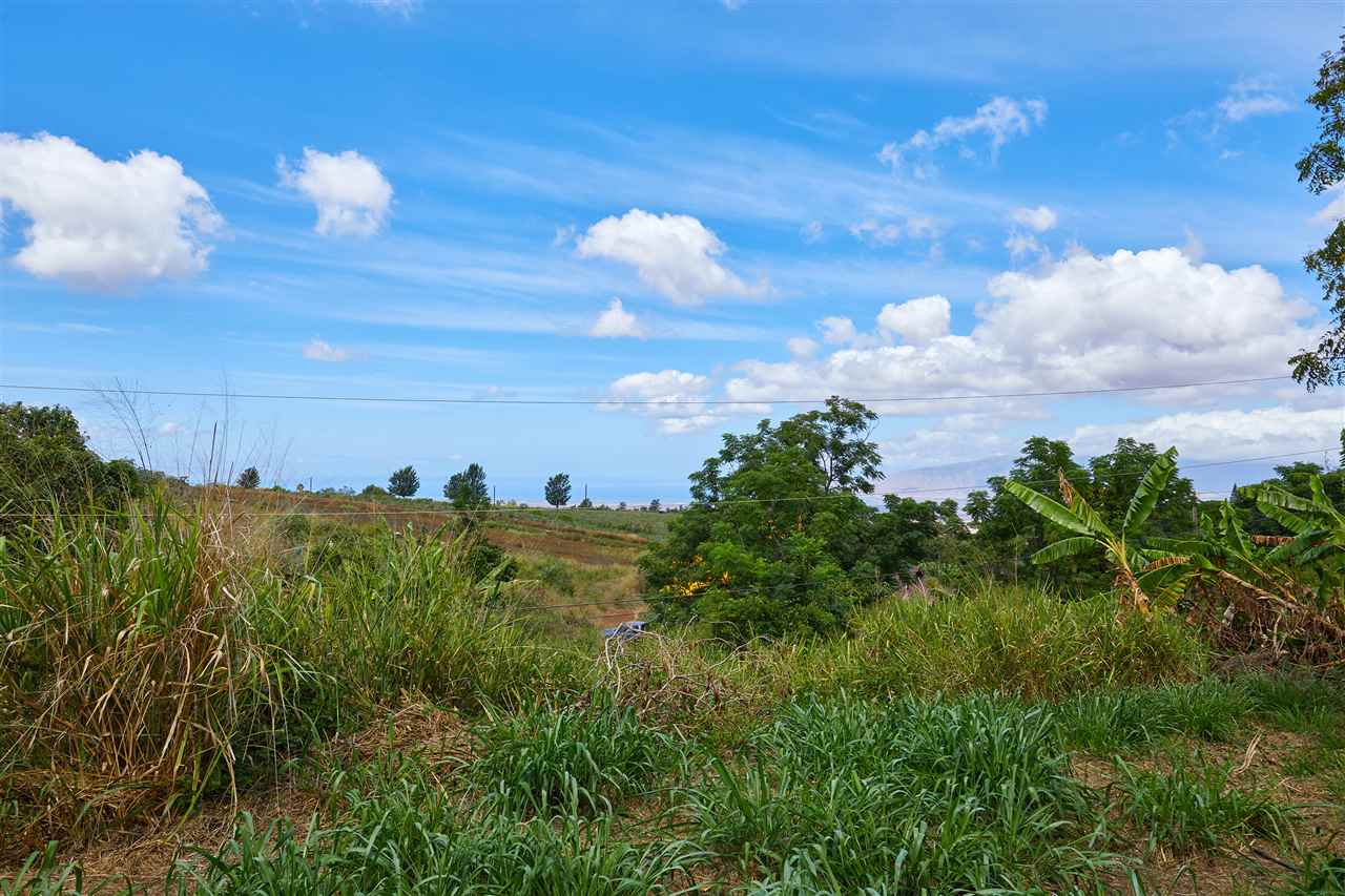 5 Piliwale Road Kula, HI 96790 - Photo 21 of 22 a view of a lake