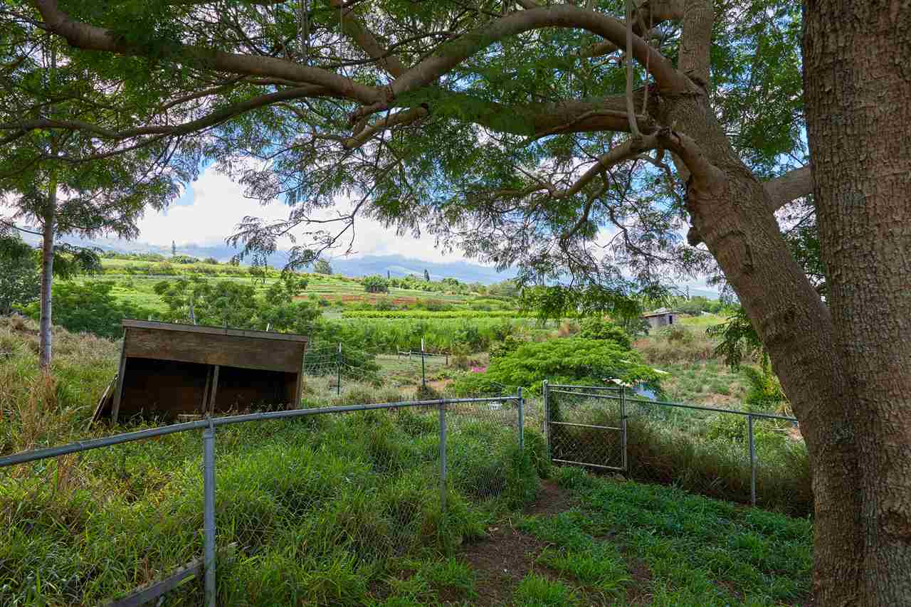 5 Piliwale Road Kula, HI 96790 - Photo 22 of 22 a backyard of a house with lots of green space