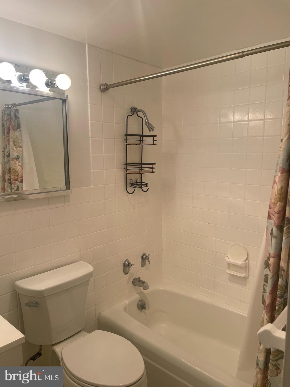 1435 4th Street Southwest, Unit B516 Washington, DC 20024 - Photo 12 of 42 Bathroom