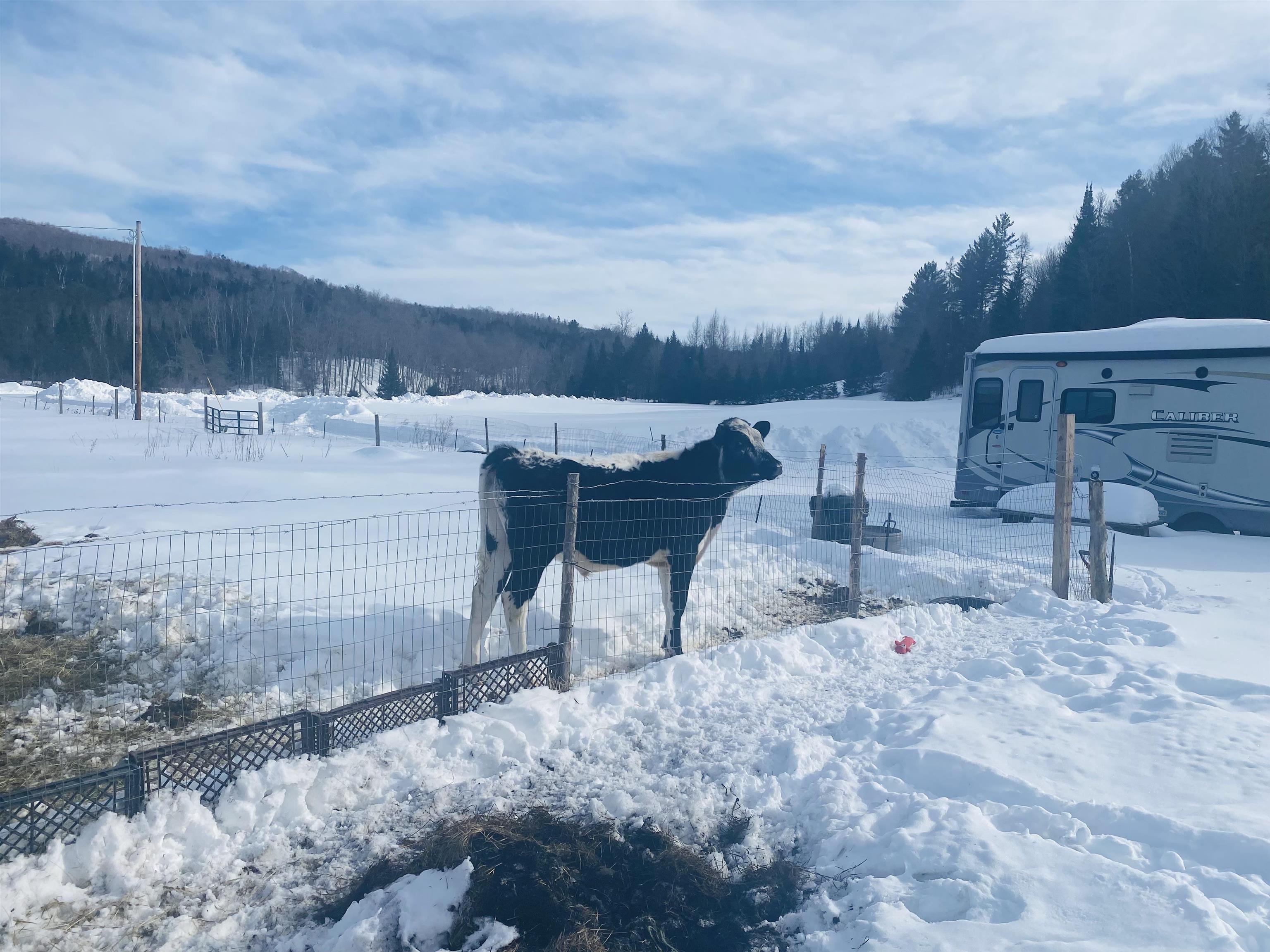 181 Shadow Lake Road Glover, VT 05839 - Photo 23 of 25