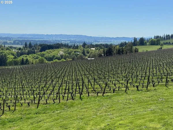 $4,995,000 | 10660 Southwest Youngberg Hill Road, McMinnville, OR 97128