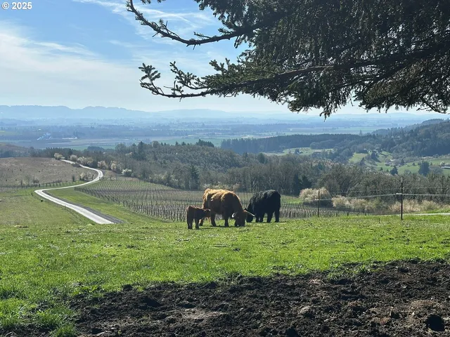 an aerial view of a house with a outdoor space
