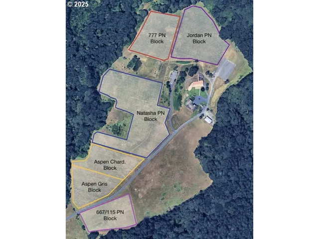 $4,995,000 | 10660 Southwest Youngberg Hill Road, McMinnville, OR 97128