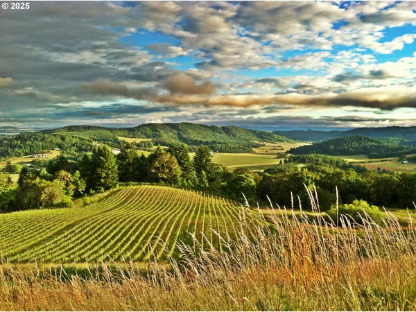$4,995,000 | 10660 Southwest Youngberg Hill Road, McMinnville, OR 97128