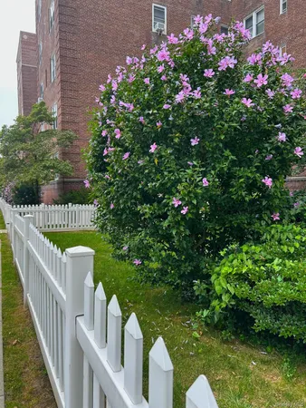 a front view of a house with a yard and tree s