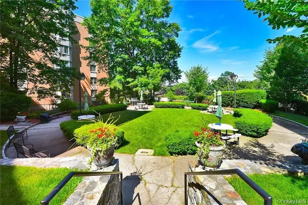 a view of a backyard with plants and large trees