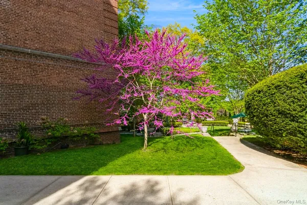 a view of swimming pool with lawn chairs and large trees