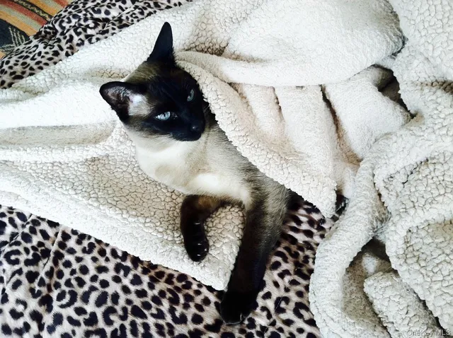 $150,000 | 90 Bryant Avenue, Unit CROYDON2 C, White Plains, NY 10605