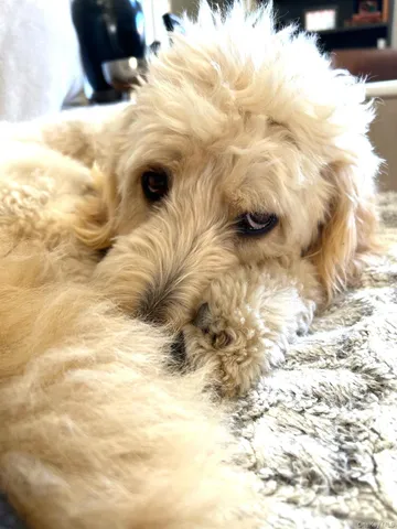 $150,000 | 90 Bryant Avenue, Unit CROYDON2 C, White Plains, NY 10605