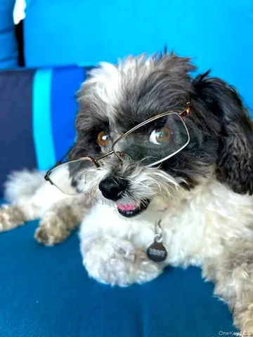 $150,000 | 90 Bryant Avenue, Unit CROYDON2 C, White Plains, NY 10605