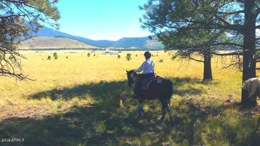 Lot 16 Condor Road, Unit 16 Flagstaff, AZ 86001 - Photo 8 of 14 Room for horses