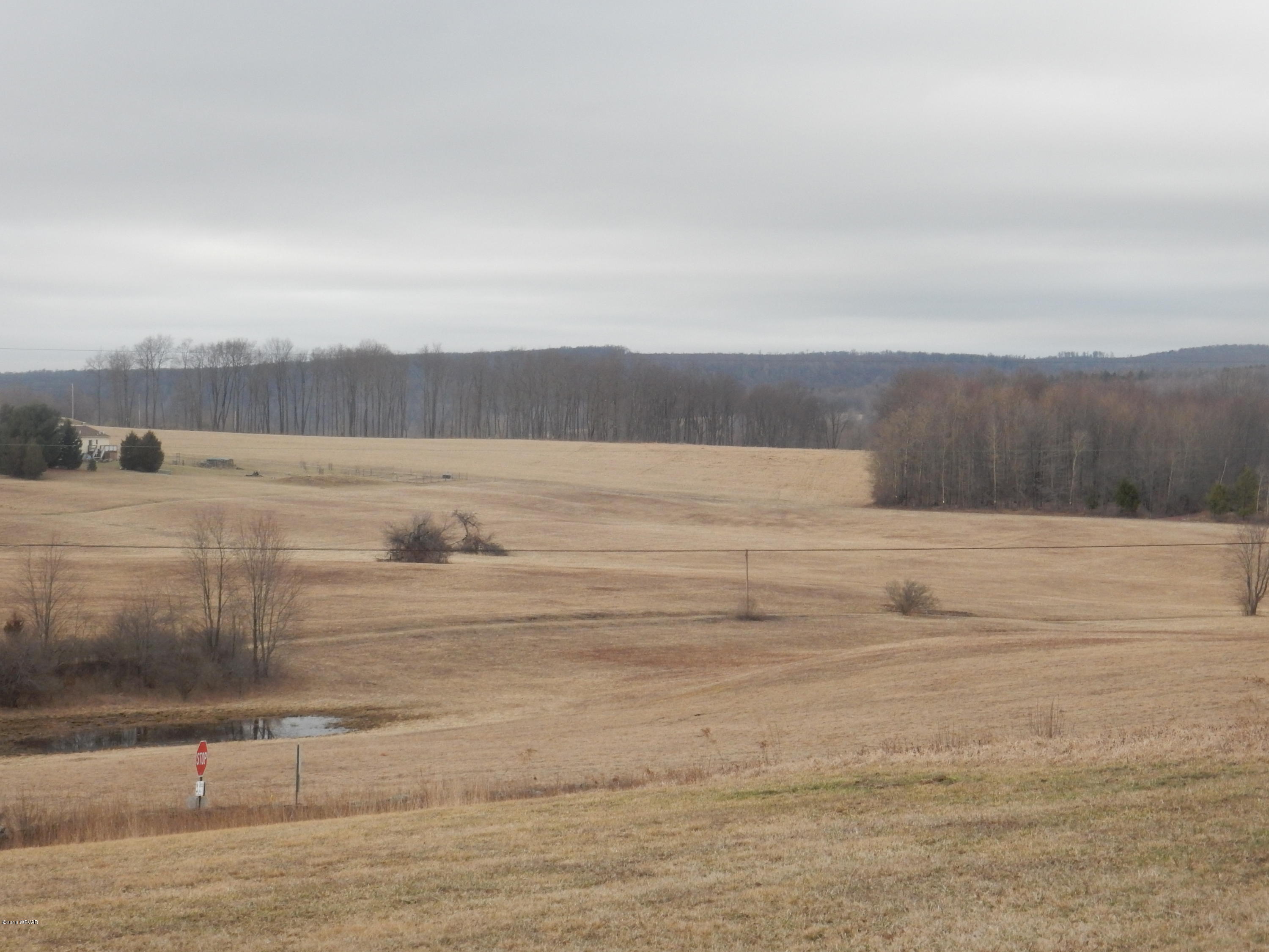2874 Whiskey Run Road Muncy Valley, PA 17758 - Photo 51 of 62 RINIER BARN PICS 012