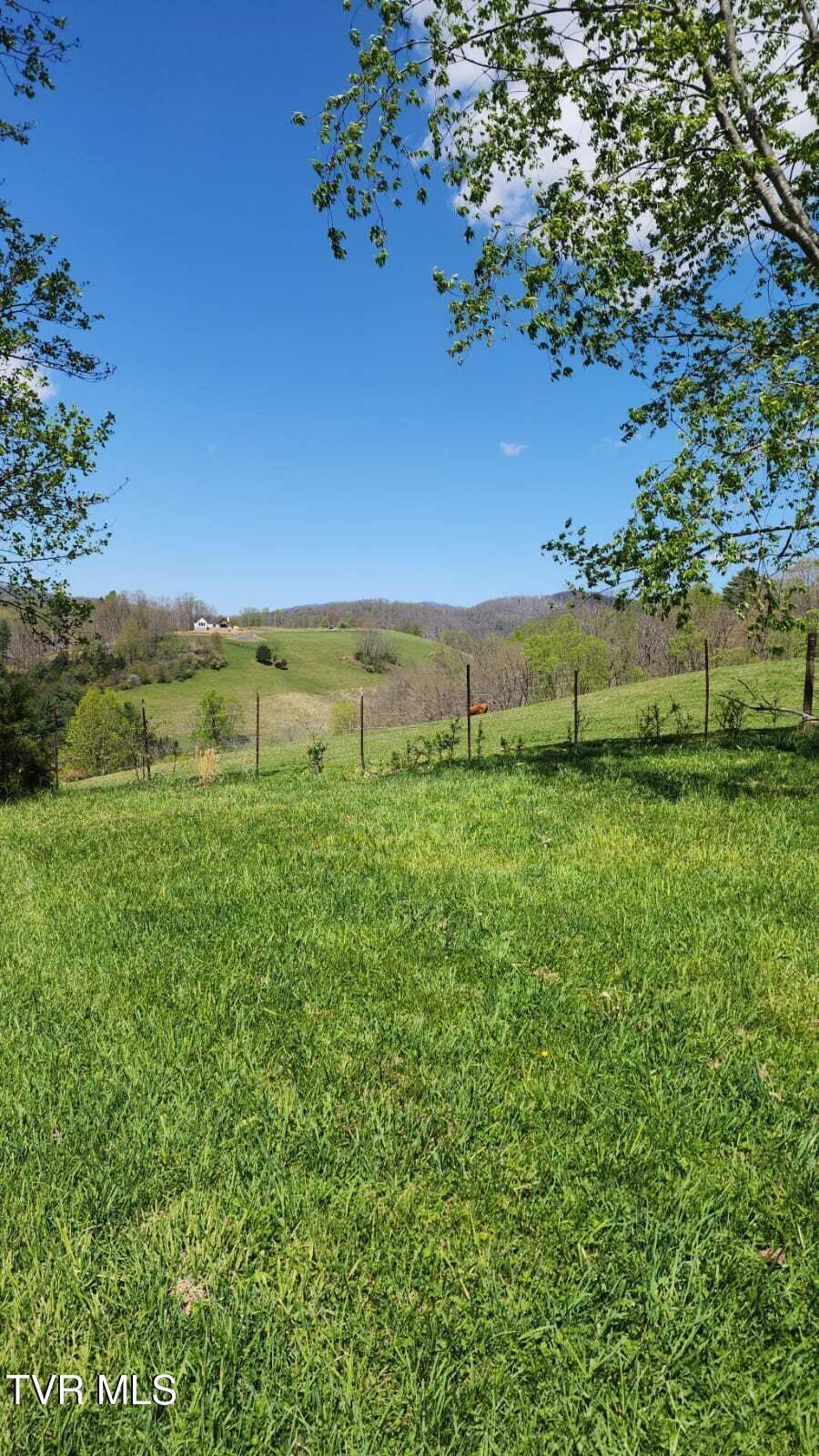 0 Dry Hill Road, Unit LOT 29 Butler, TN 37640 - Photo 7 of 11 IMG-20250416-WA0038