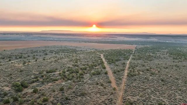 a view of a field with an ocean