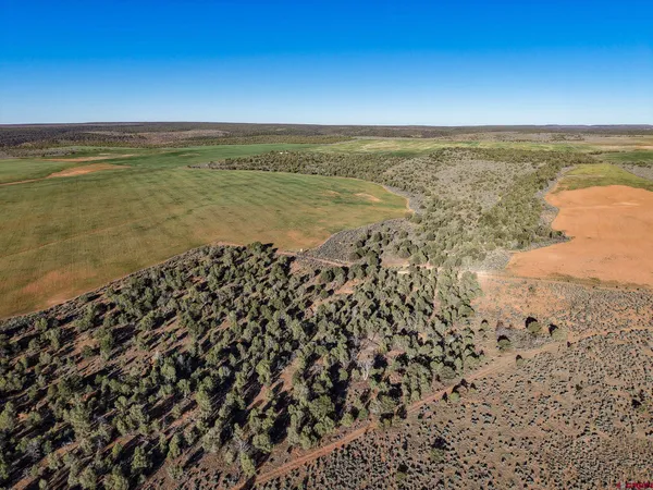 $918,000 | 106 County Road 106, Hesperus, CO 81326