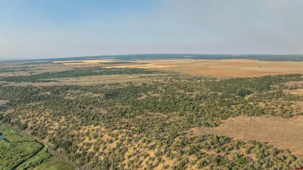 a view of an ocean and beach