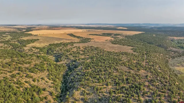 a view of an ocean and beach