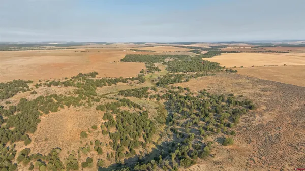 $918,000 | 106 County Road 106, Hesperus, CO 81326