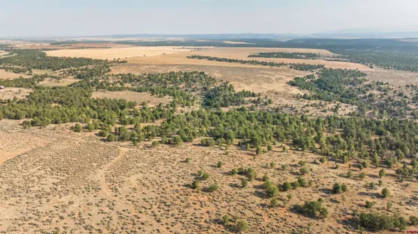 an aerial view of house with yard