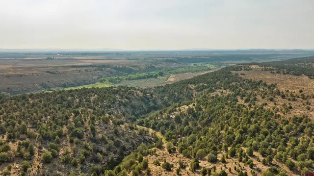 a view of an ocean and beach
