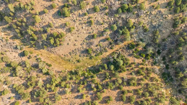 an aerial view of residential building and ocean