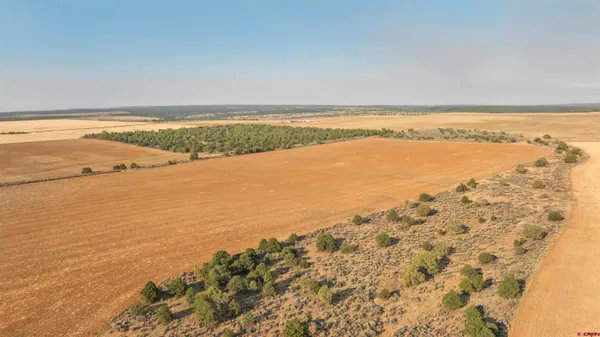 $918,000 | 106 County Road 106, Hesperus, CO 81326