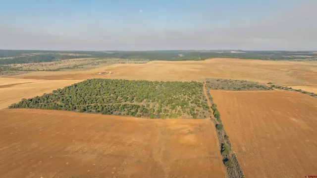 a view of an ocean and beach