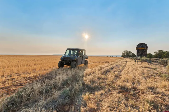 a view of an ocean and beach