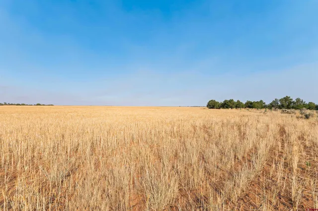 a view of lake with mountain