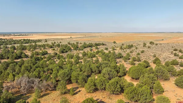 $918,000 | 106 County Road 106, Hesperus, CO 81326