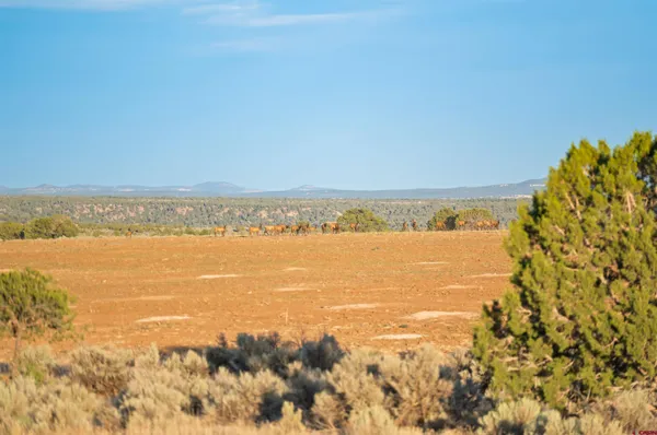 $918,000 | 106 County Road 106, Hesperus, CO 81326
