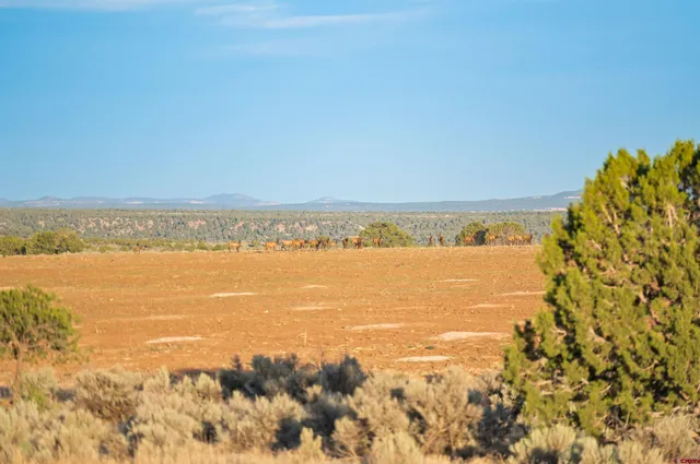 $980,000 | 106 County Road 106, Hesperus, CO 81326