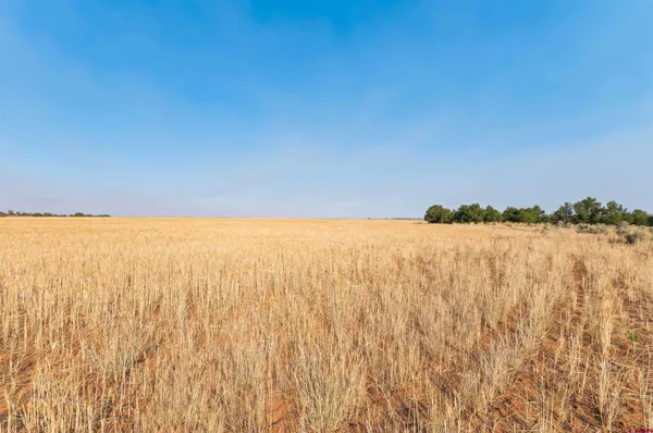 $918,000 | 106 County Road 106, Hesperus, CO 81326