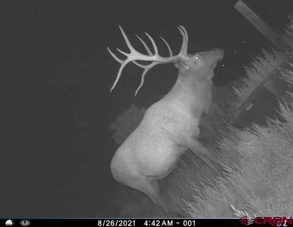 $918,000 | 106 County Road 106, Hesperus, CO 81326