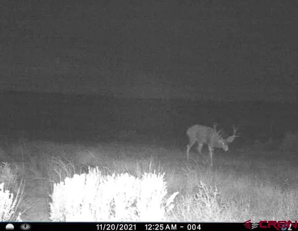 $918,000 | 106 County Road 106, Hesperus, CO 81326