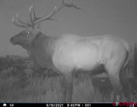 $918,000 | 106 County Road 106, Hesperus, CO 81326