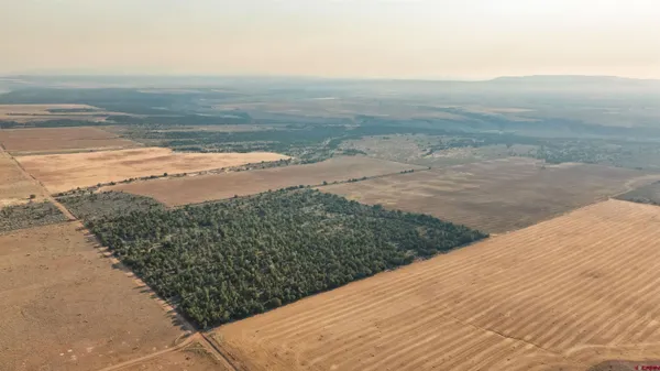a view of an ocean beach