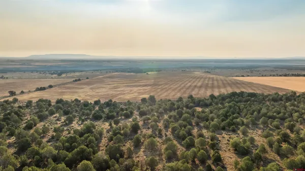 a view of an ocean and beach